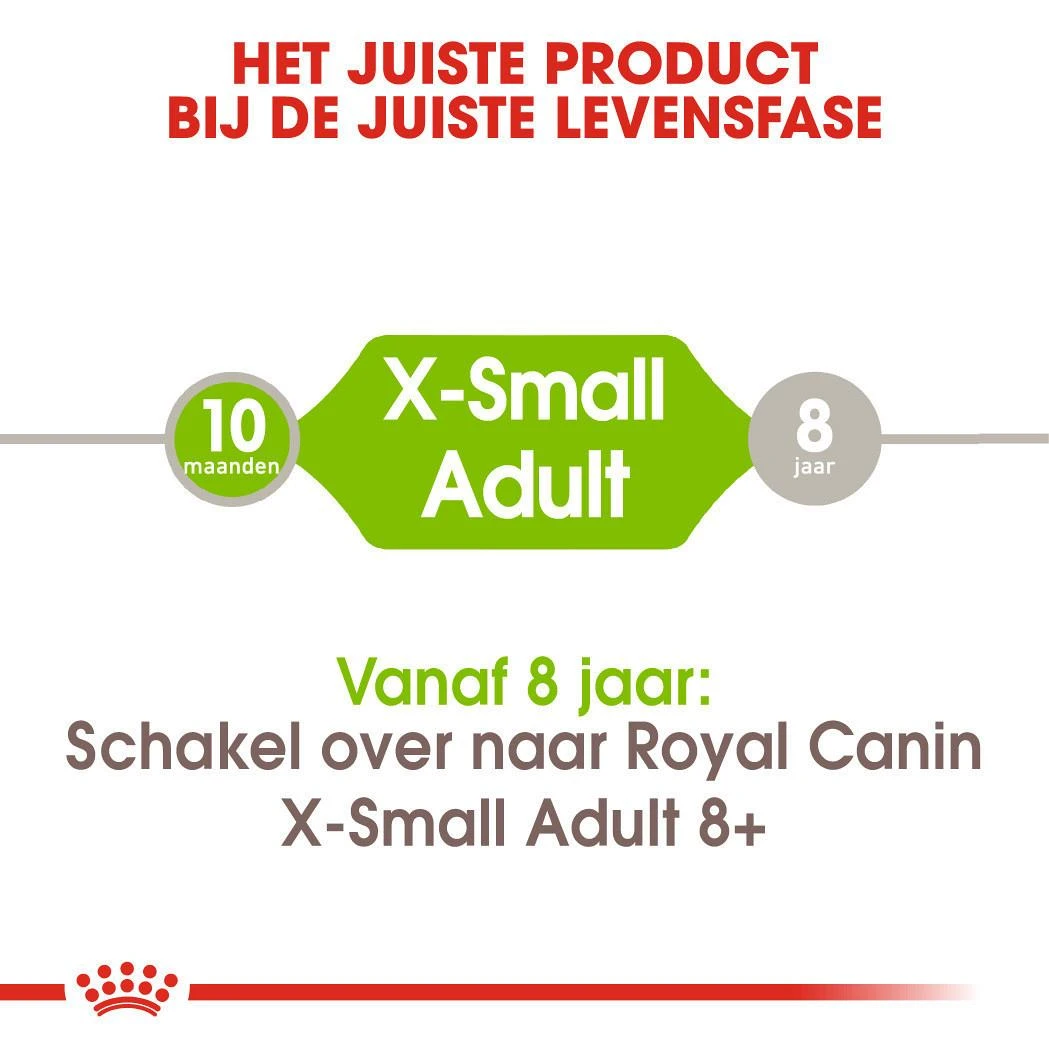 Royal Canin hondenvoer X-Small Adult 3 kg Royal Canin Hondenvoer X-Small Adult 3 Kg -Dierbenodigdheden Serie Winkel royal canin x small adult volwassen hond zeer kleine hondenrassen hero image 9