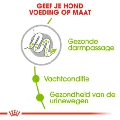 Royal Canin Hondenvoer X-Small Adult 3 Kg 4 Royal Canin Hondenvoer X-Small Adult 3 Kg -Dierbenodigdheden Serie Winkel royal canin x small adult volwassen hond zeer kleine hondenrassen hero usp