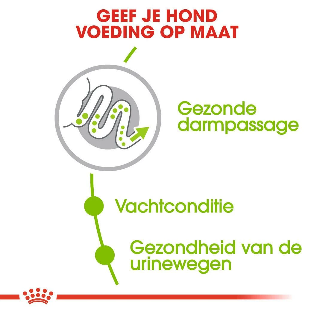 Royal Canin hondenvoer X-Small Adult 3 kg Royal Canin Hondenvoer X-Small Adult 3 Kg -Dierbenodigdheden Serie Winkel royal canin x small adult volwassen hond zeer kleine hondenrassen hero usp