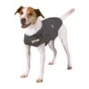 Thundershirt -Dierbenodigdheden Serie Winkel thundershirt jackrussel