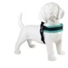 Tre Ponti Hondentuig Mesh Fibbia Reflective Verstelbaar Pastel Groen -Dierbenodigdheden Serie Winkel turquoise licht hond
