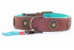 Dog With A Mission Halsband Urban -Dierbenodigdheden Serie Winkel urban 4cm halsband